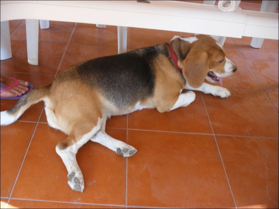 sardegna 2009 004